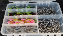 Load image into Gallery viewer, Cam&#39;s All Day Fishermen Stinger Shad Assortment Package
