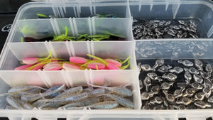 Cam's All Day Fishermen Stinger Shad Assortment Package