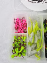 Load image into Gallery viewer, Cam&#39;s Complete Stinger Shad [Hologram Flake] Starter Assortment Package Kit
